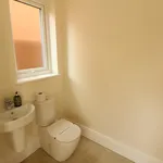 Rent 4 bedroom house in Leicester