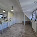 Rent 4 bedroom apartment of 164 m² in Miřetice