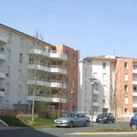 Rent 2 bedroom apartment of 36 m² in PESSAC