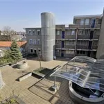 Rent 2 bedroom apartment of 77 m² in Valkenswaard