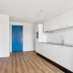 Rent 1 bedroom apartment of 37 m² in Amsterdam