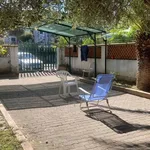 Rent 3 bedroom house of 120 m² in Calopezzati