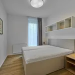 Pronajměte si 2 ložnic/e byt o rozloze 50 m² v Prague