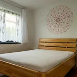 Rent 3 bedroom apartment in Ostrava