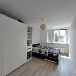 Rent 5 bedroom house of 120 m² in Krommeweg-Zuid