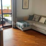 Rent 3 bedroom apartment of 72 m² in Grosseto