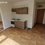 Rent 1 bedroom apartment in Chomutov