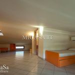 Rent 3 bedroom apartment of 80 m² in Pisa