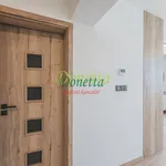 Rent 2 bedroom apartment in Hradec Králové