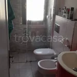 Rent 3 bedroom apartment of 65 m² in Misano Adriatico