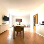 Rent 2 bedroom apartment of 50 m² in Torino