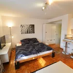 Rent 1 bedroom apartment in stuttgart