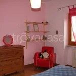 Rent 2 bedroom apartment of 60 m² in Velletri