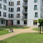 Rent 1 bedroom apartment of 20 m² in Toruń