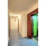 Appartement de 19 m² avec 1 chambre(s) en location à GRENOBLE