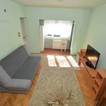 Rent 1 bedroom apartment of 28 m² in Timișoara