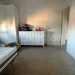 Rent 3 bedroom apartment of 80 m² in Vibo Valentia