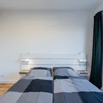 Rent 2 bedroom apartment of 55 m² in Berlin