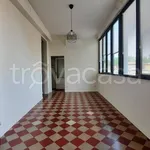 Rent 4 bedroom apartment of 160 m² in Piacenza