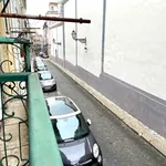 Rent 1 bedroom apartment in lisbon