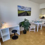 Rent 1 bedroom apartment of 34 m² in Augsburg