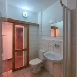 Rent 1 bedroom apartment in Cheb