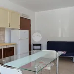 Rent 3 bedroom apartment of 55 m² in Carini