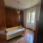 Rent 3 bedroom apartment of 70 m² in Bologna