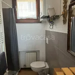 Rent 2 bedroom apartment of 55 m² in Padova