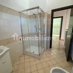 Rent 4 bedroom apartment of 100 m² in Alessandria