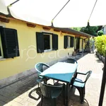 Rent 3 bedroom apartment of 85 m² in Pietrasanta