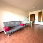 Rent 1 bedroom apartment of 37 m² in Rome