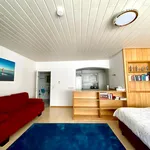 Rent 2 bedroom apartment of 45 m² in Friedrichshafen