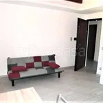 Rent 1 bedroom apartment of 20 m² in Roma