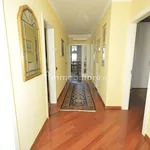 Rent 4 bedroom apartment of 130 m² in Trento