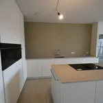 Rent 2 bedroom apartment in Tongeren