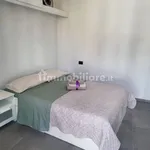 Rent 1 bedroom apartment of 25 m² in Turin