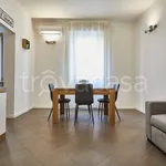 Rent 2 bedroom apartment of 64 m² in Monza