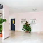 Rent 1 bedroom apartment in Rome