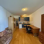 Rent 1 bedroom apartment of 30 m² in Capital City of Prague