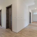 Pronajměte si 1 ložnic/e dům o rozloze 210 m² v Veselí nad Lužnicí