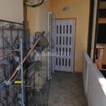 Rent 4 bedroom apartment of 60 m² in Livorno