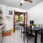 Rent 1 bedroom apartment of 50 m² in Grosseto