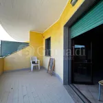 Rent 3 bedroom apartment of 76 m² in Roma