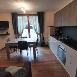 Rent 3 bedroom apartment of 70 m² in Montini