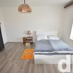 Rent 2 bedroom apartment of 70 m² in Capital City of Prague