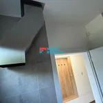 Pronajměte si 1 ložnic/e dům o rozloze 236 m² v Bohumín