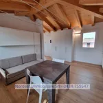 Rent 1 bedroom apartment of 44 m² in Codognè