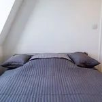 Rent 1 bedroom apartment of 50 m² in berlin