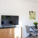 Rent 1 bedroom apartment of 24 m² in Bayreuth